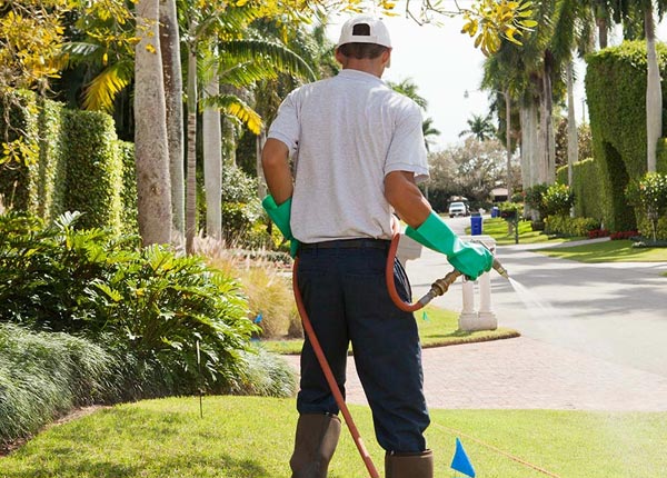 About Cerro Gordo NC Pest Control